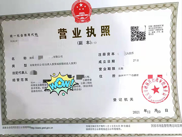 注册营业执照新办