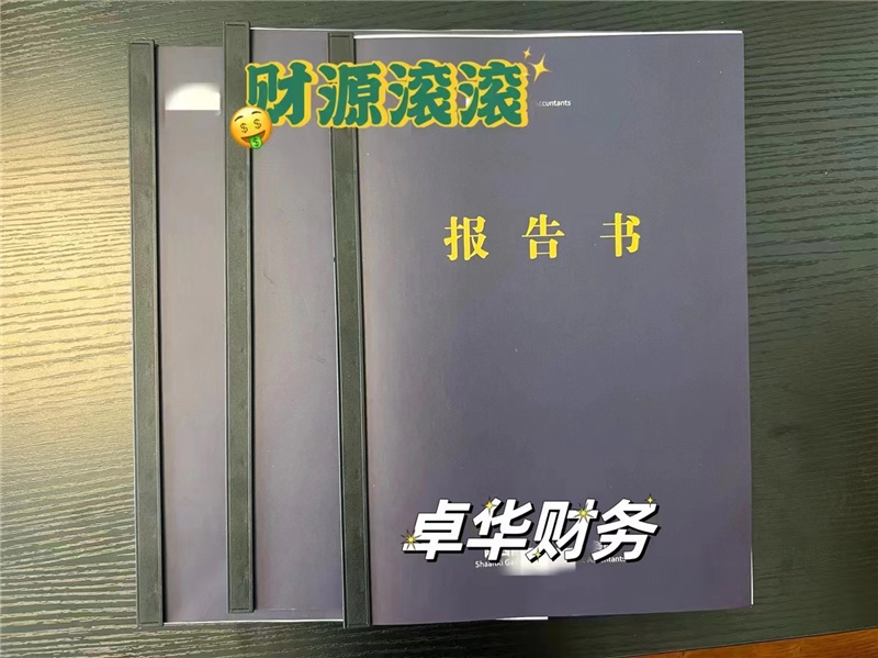 报告书又1个