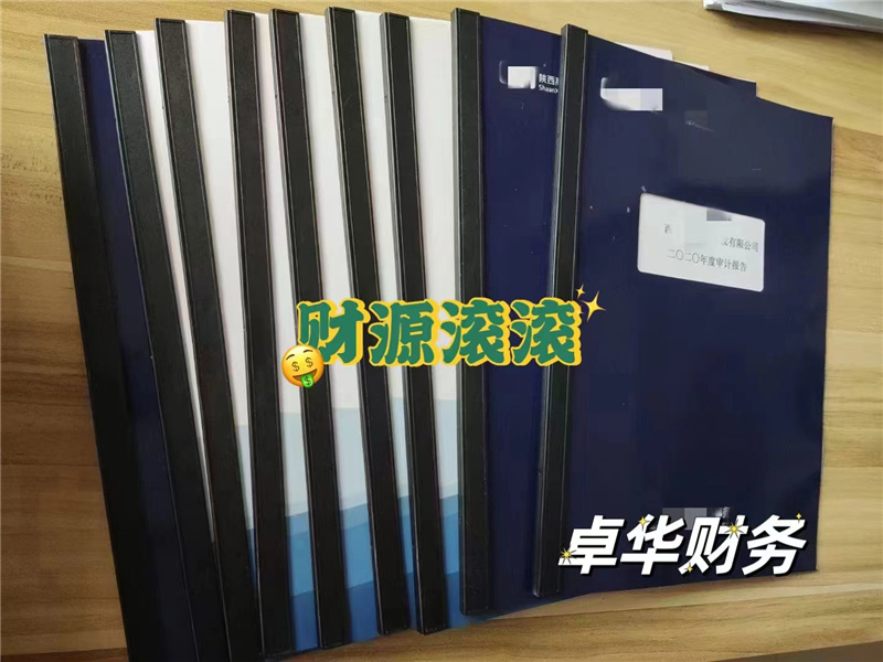 企业审计报告1个